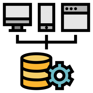 Software and Database Development
