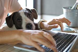 A female working in her remote office