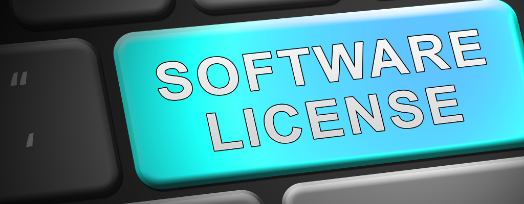Software License concept
